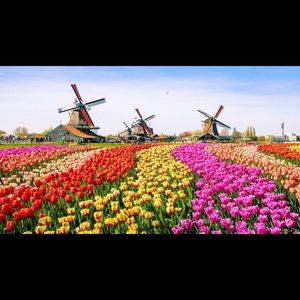 Meet your Posher, Casey